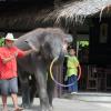 oh how they love to hoola hoop