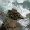 Rocks along the White Water Walk